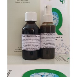 Q Bio Immuno Ribes 75ml spray